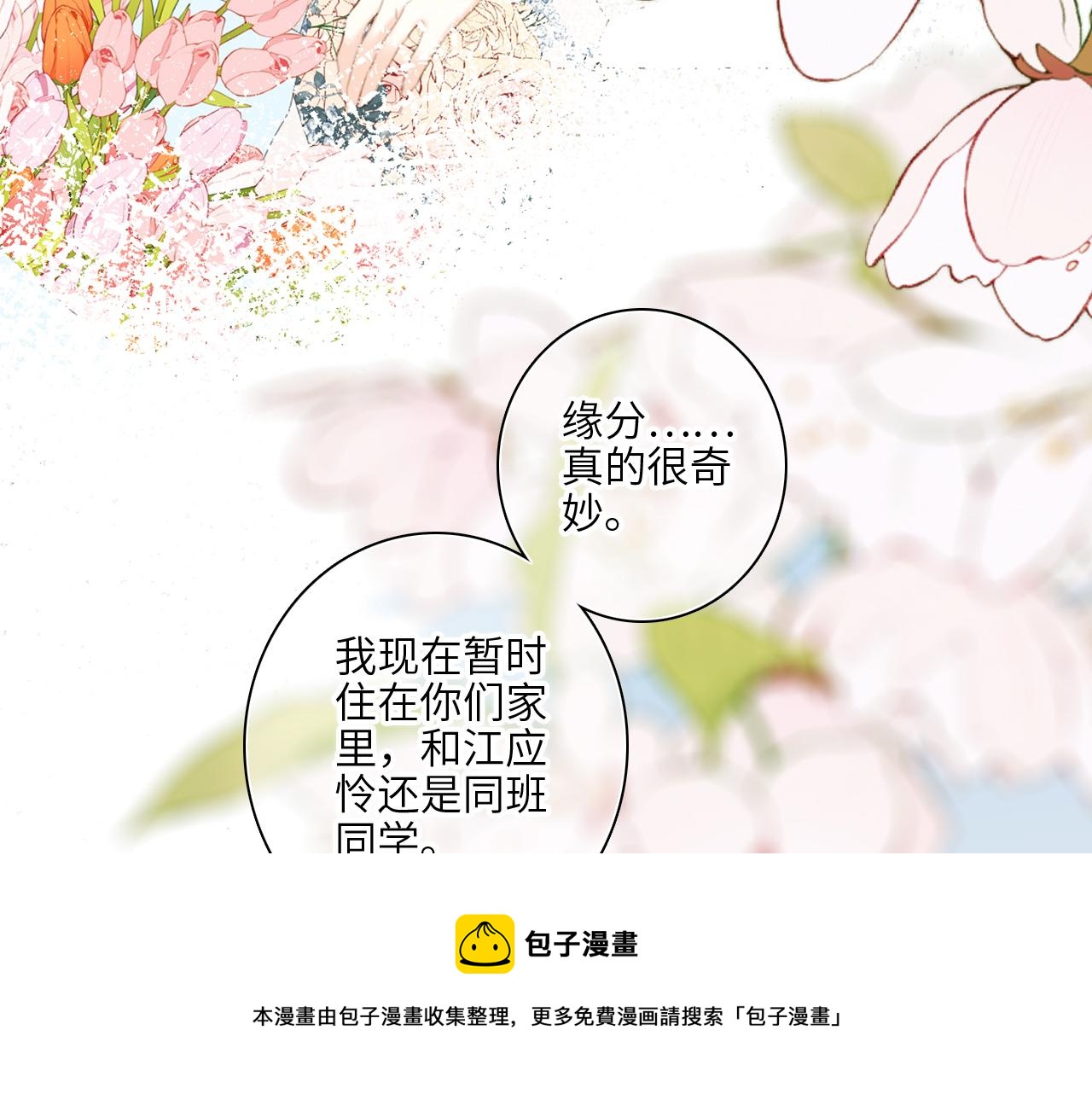 121 THE ROSE.4128