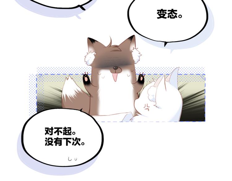 第102话 midnight44