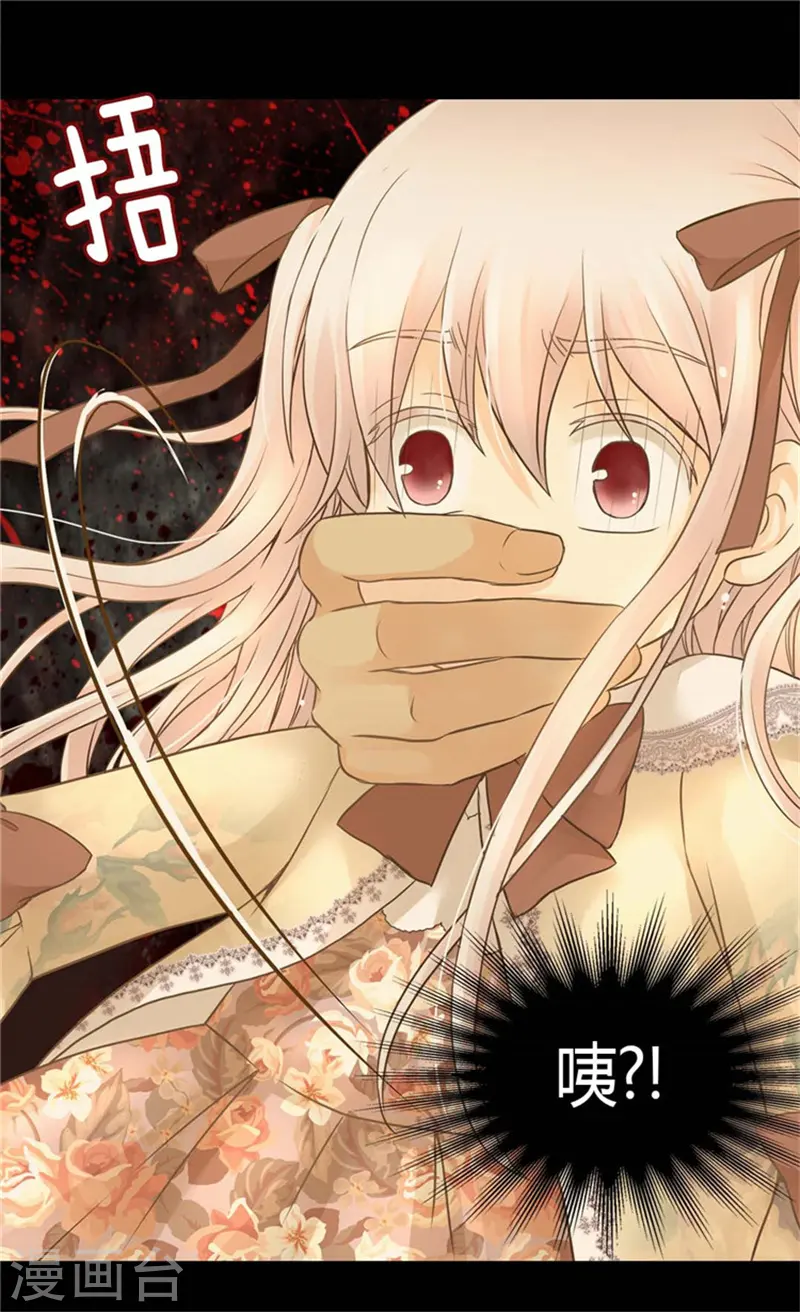 第138话 小公主被绑架了13