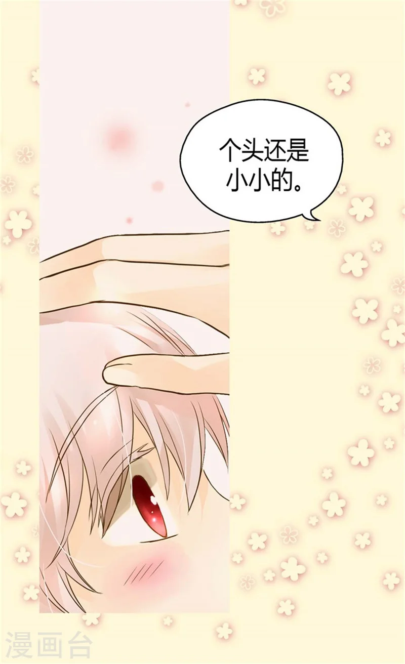 第95话 再次遇到阿西西1