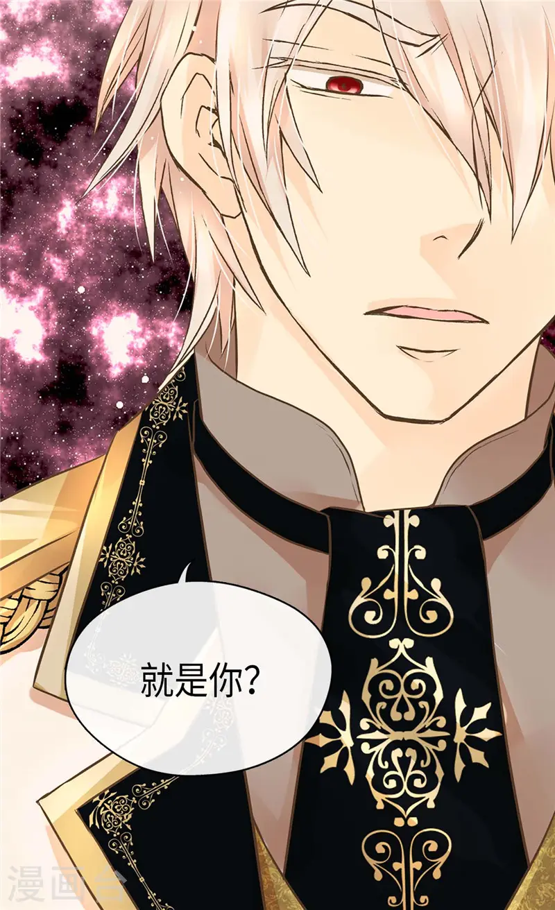 第274话 “平民”对抗骑士团23