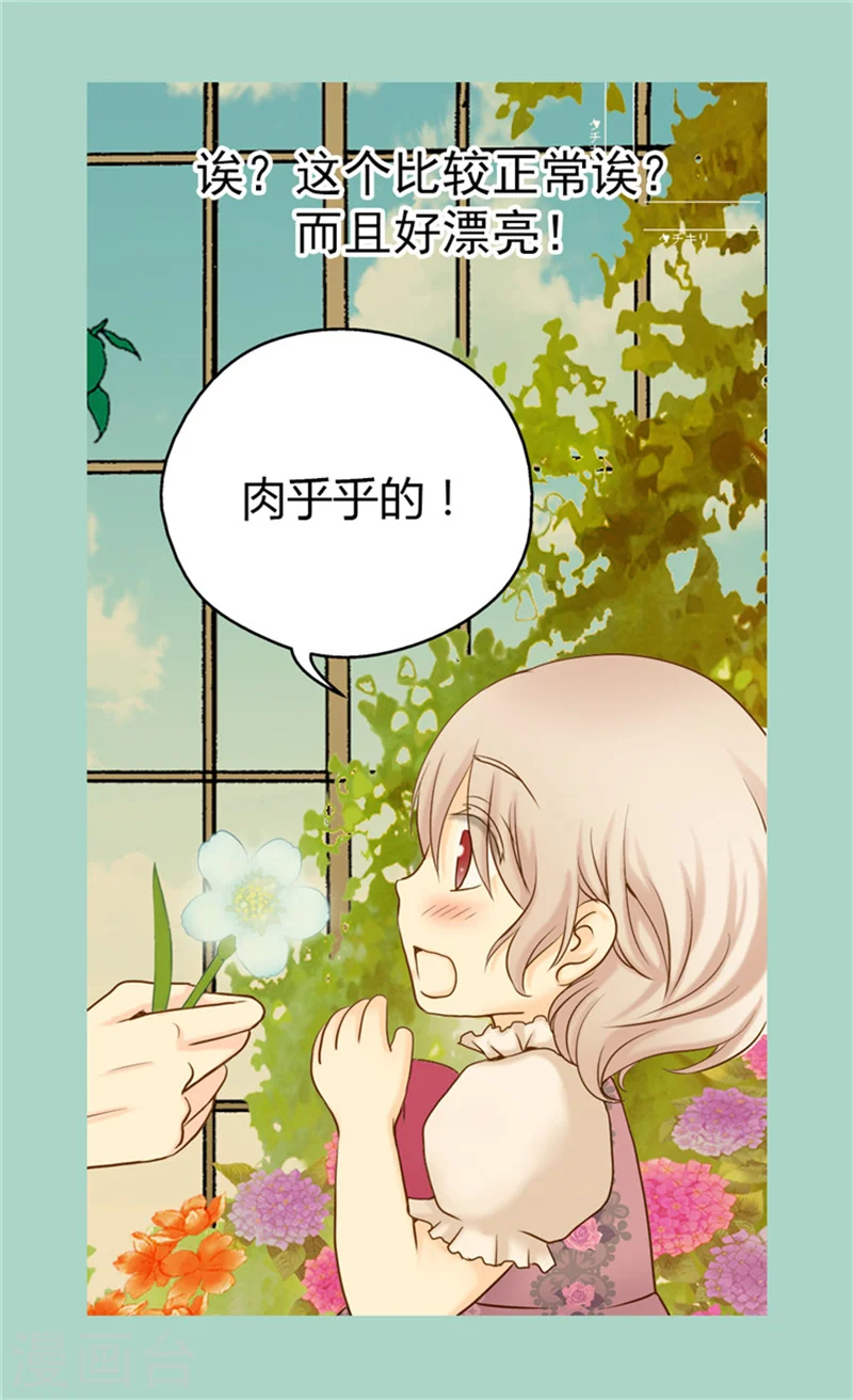 第58话 云朵花6