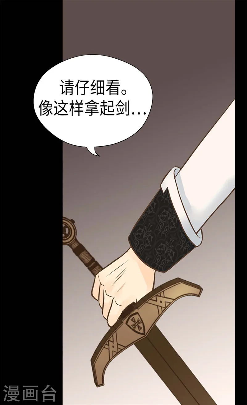 第204话 骑士大人亲传剑术13