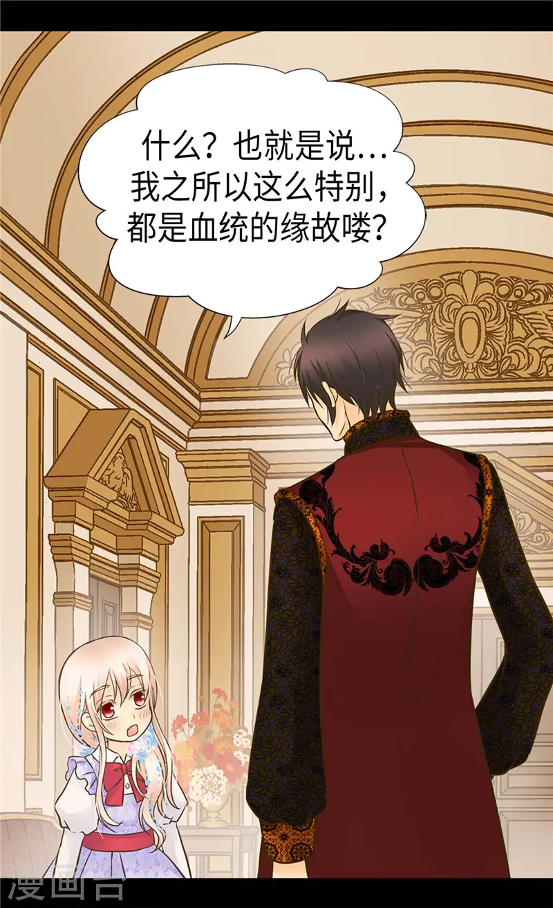 第242话 魔女与精灵的血统3