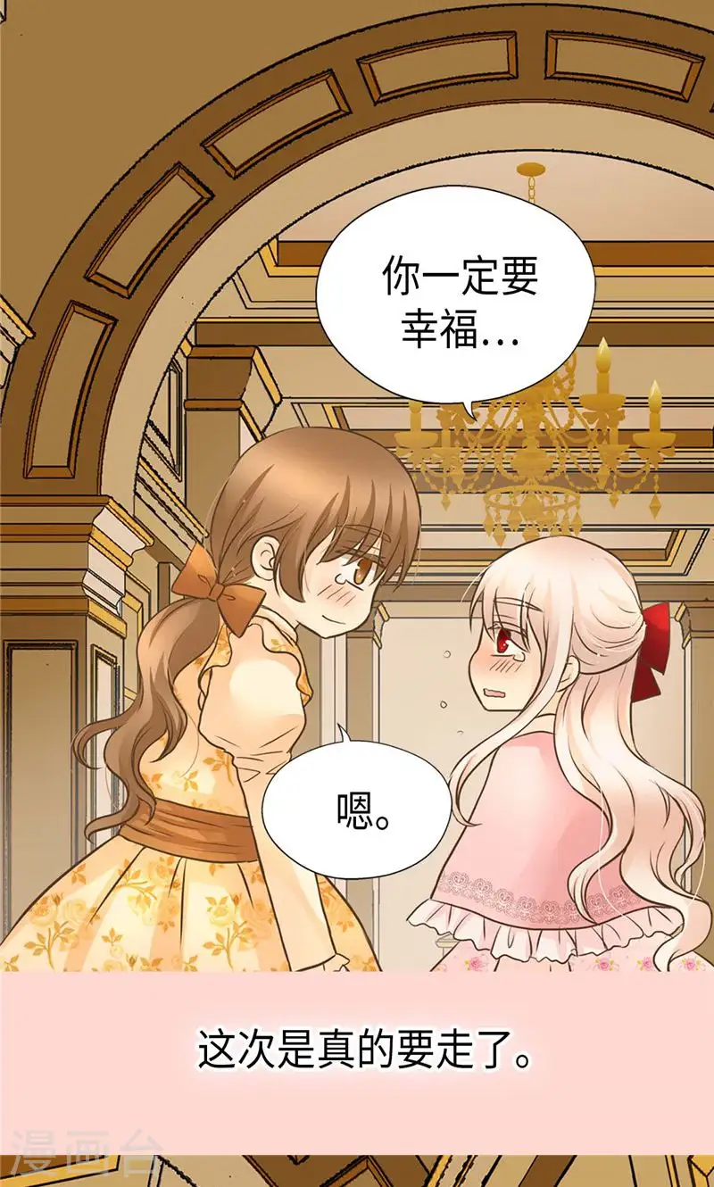 第254话 正式的道别1