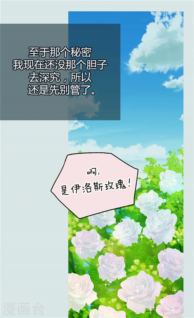 第100话 跟阿西西的正式会面19