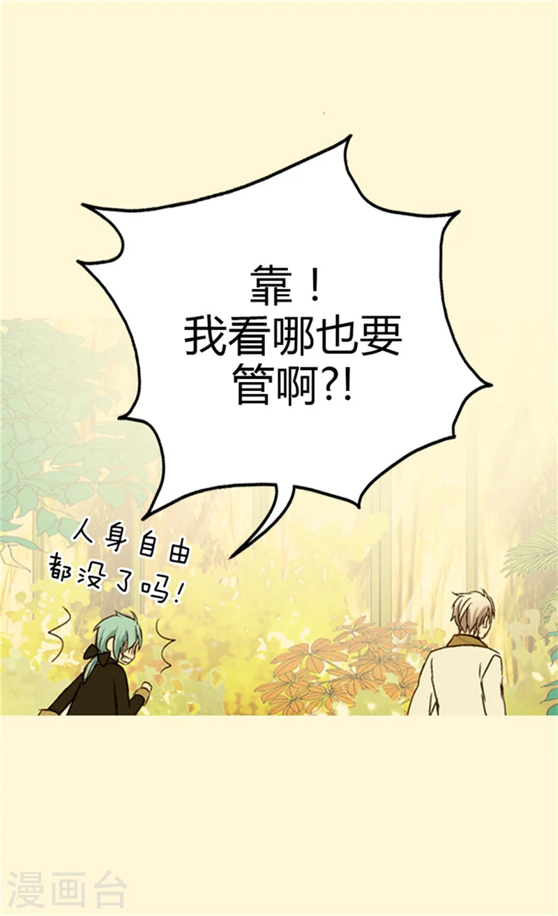 第41话 不要招惹我爸17