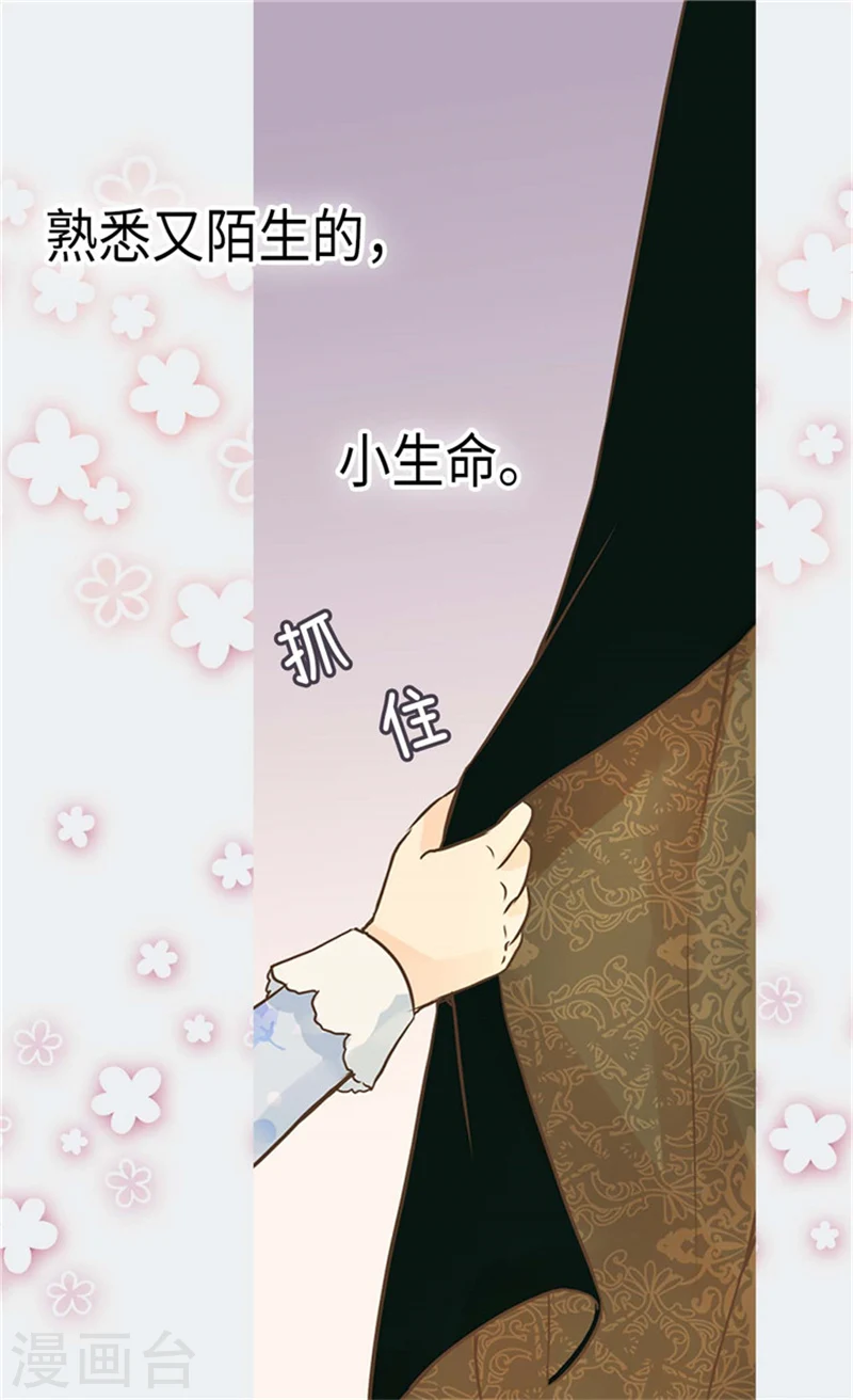 第175话 有女儿其实也不错4