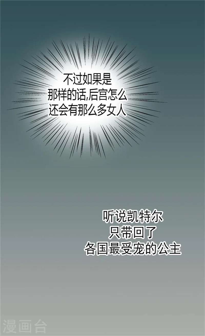 第85话 深入了解暴君的由来6