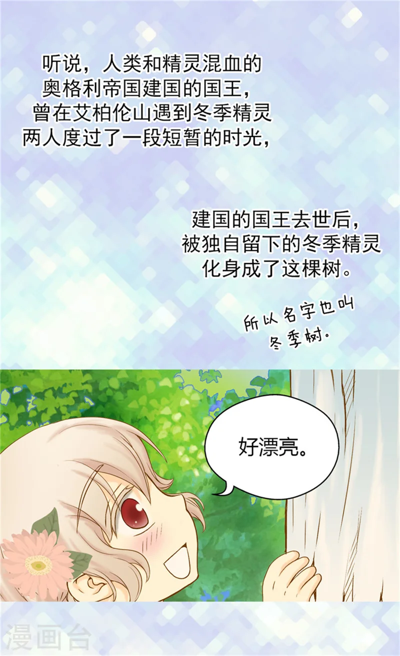 第60话 冬季树2