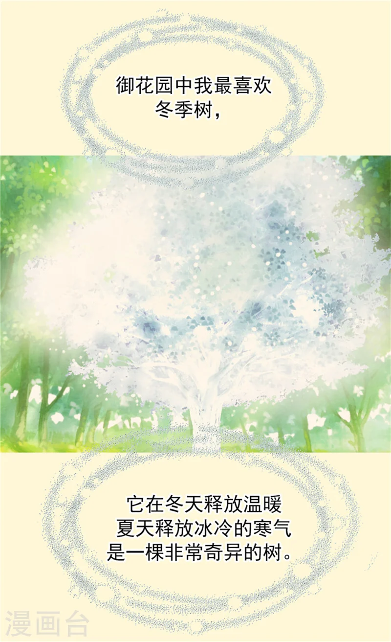 第60话 冬季树1