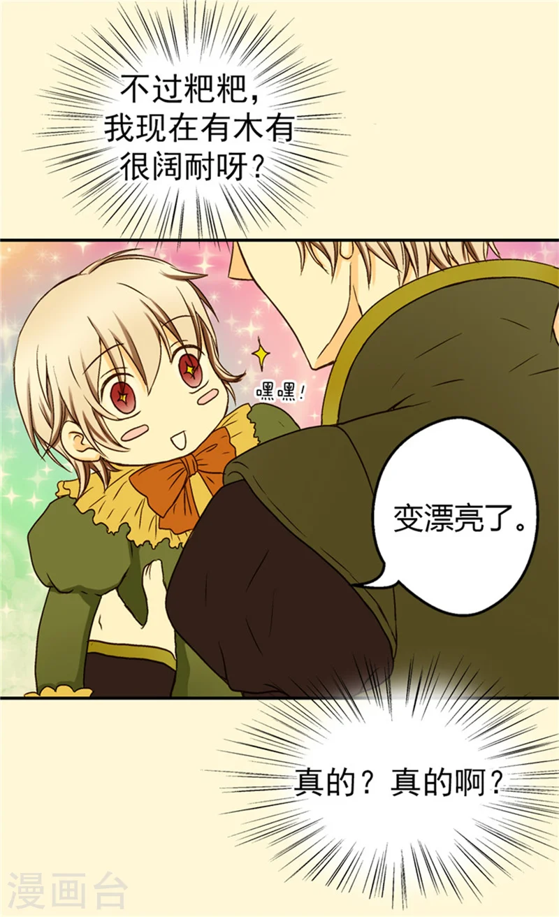第26话 生日宴会前的准备14