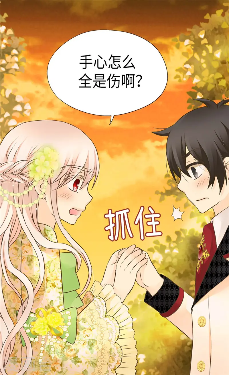 第263话 我有骑士保护了！6