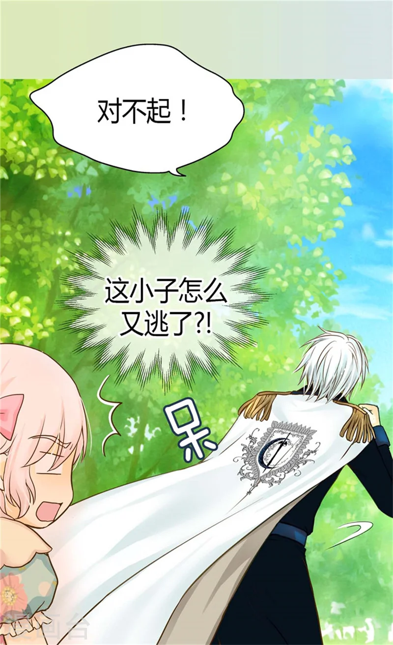 第114话 世界上最帅的骑士18