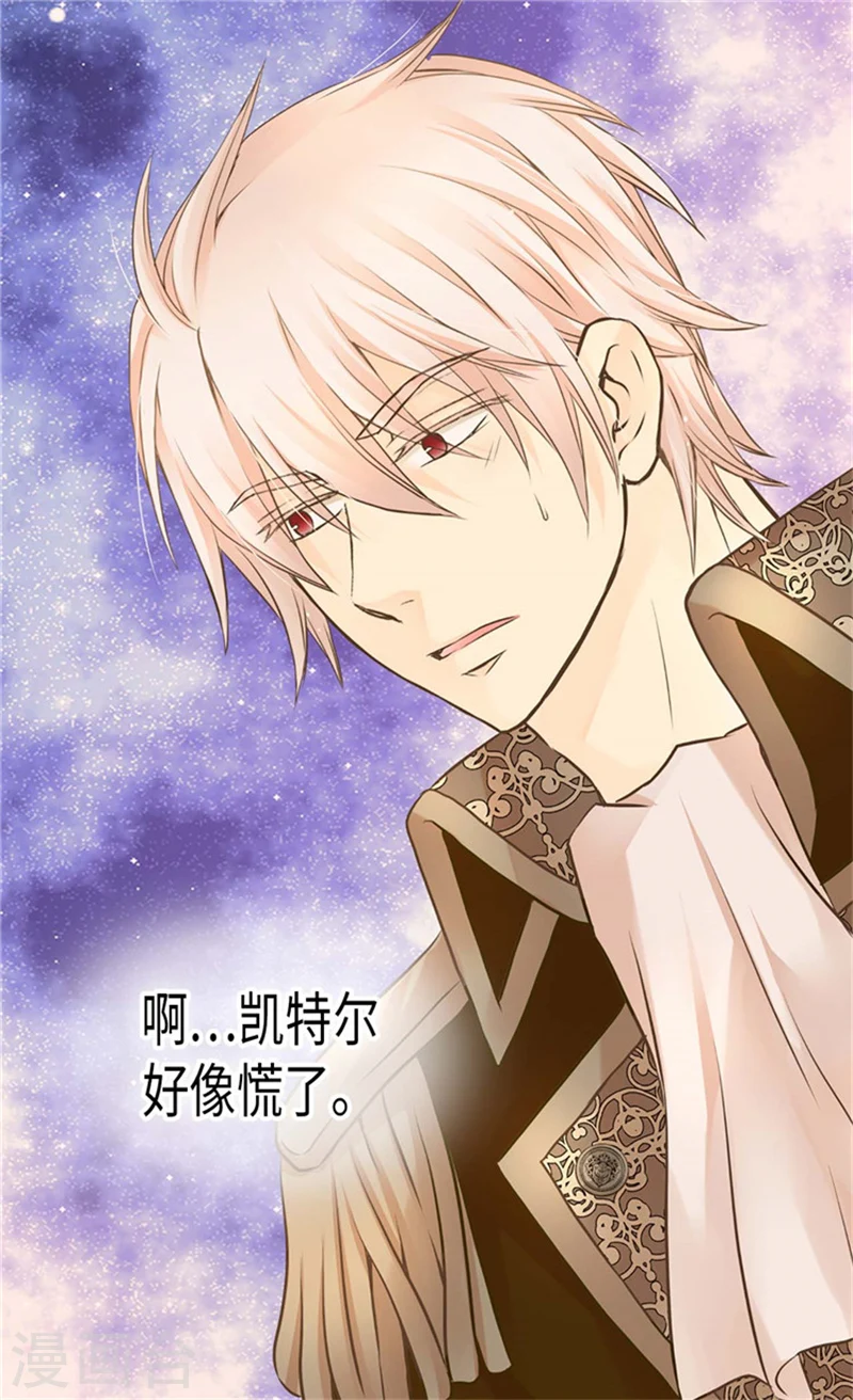 第185话 十个冬季树？1