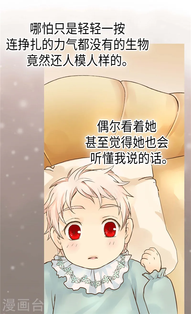 第228话 无法形容的情感9