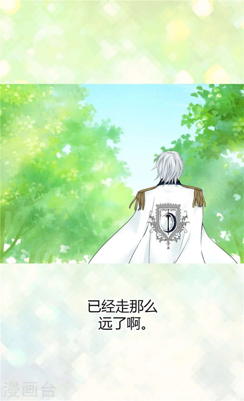 第100话 跟阿西西的正式会面11