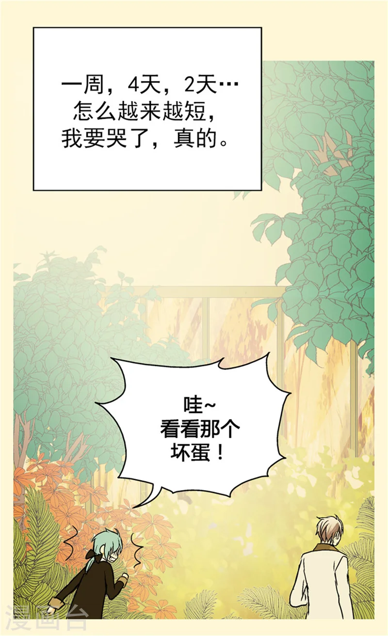 第41话 不要招惹我爸22