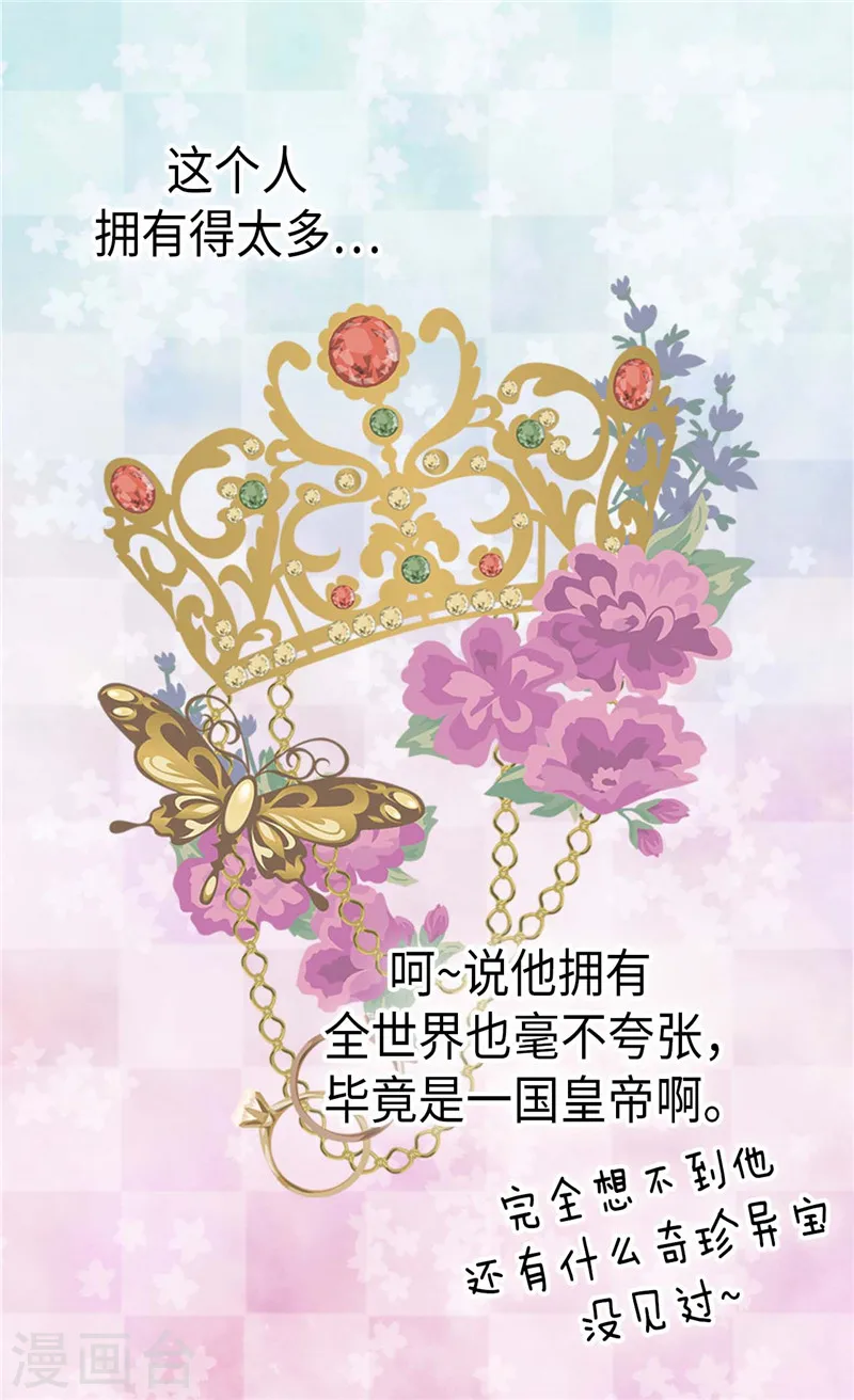 第245话 为生日亲自下厨11