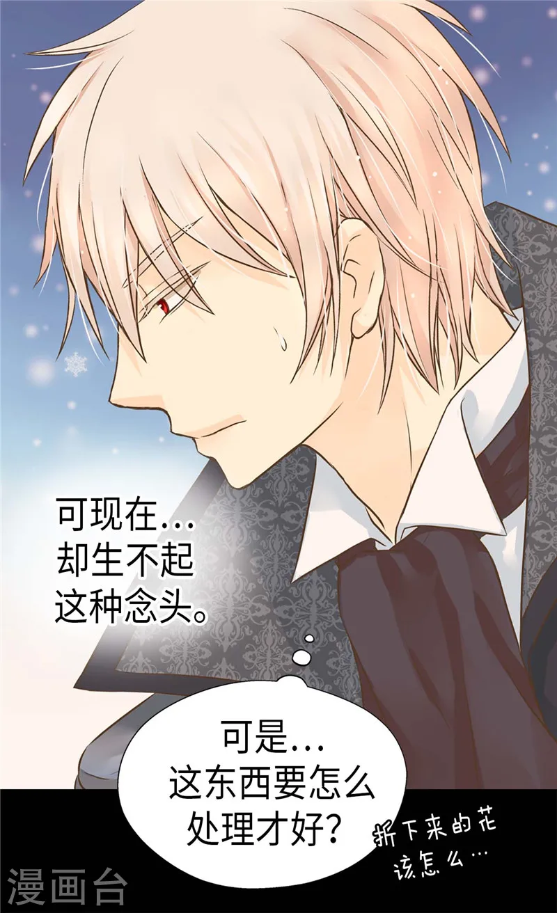 第228话 无法形容的情感23