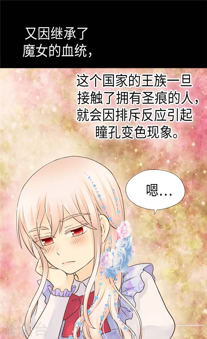 第240话 北魔女王国6