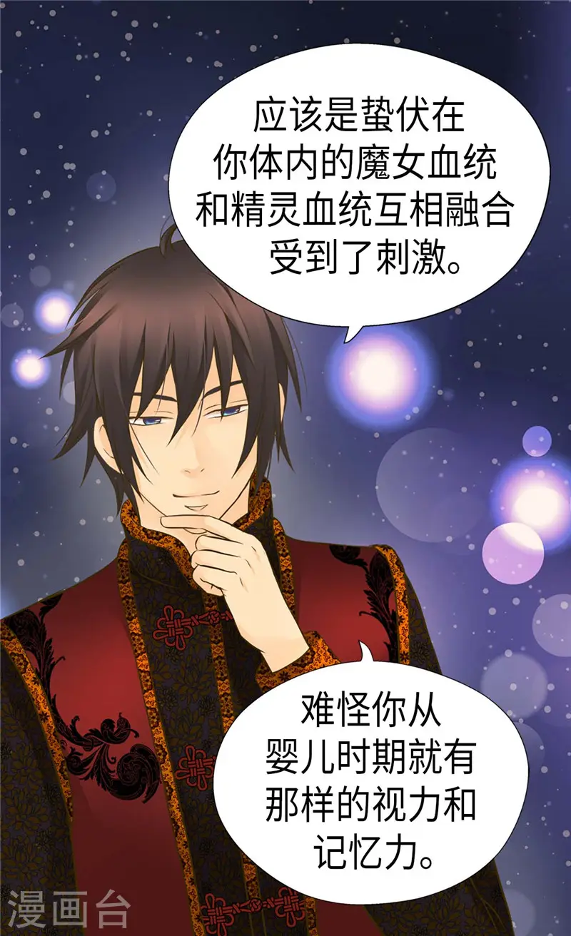 第242话 魔女与精灵的血统2