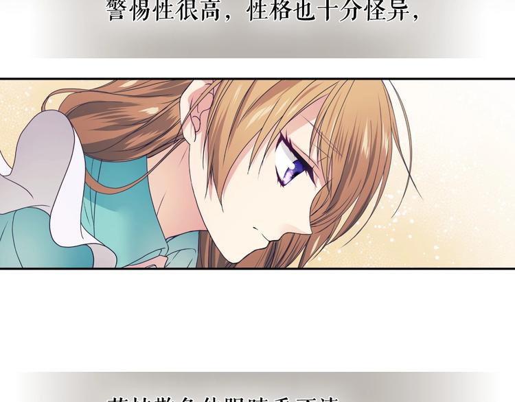 第2话 傲娇的反抗48