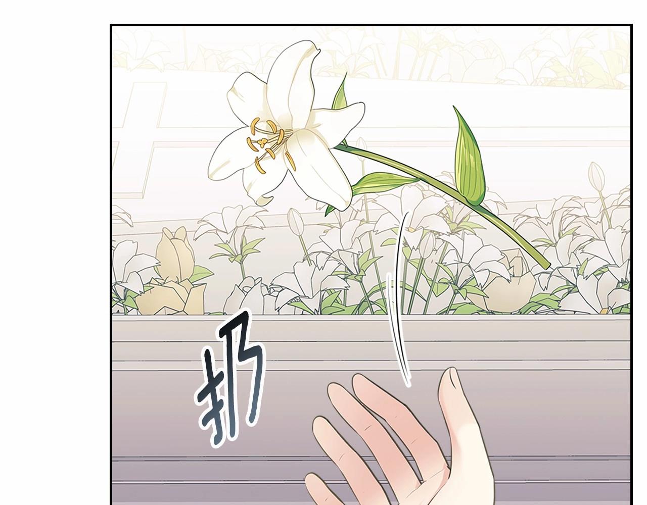 第100话 补偿26