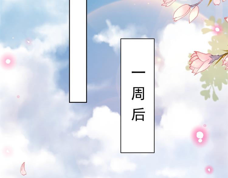 13 全民偶像——王炸经纪人64