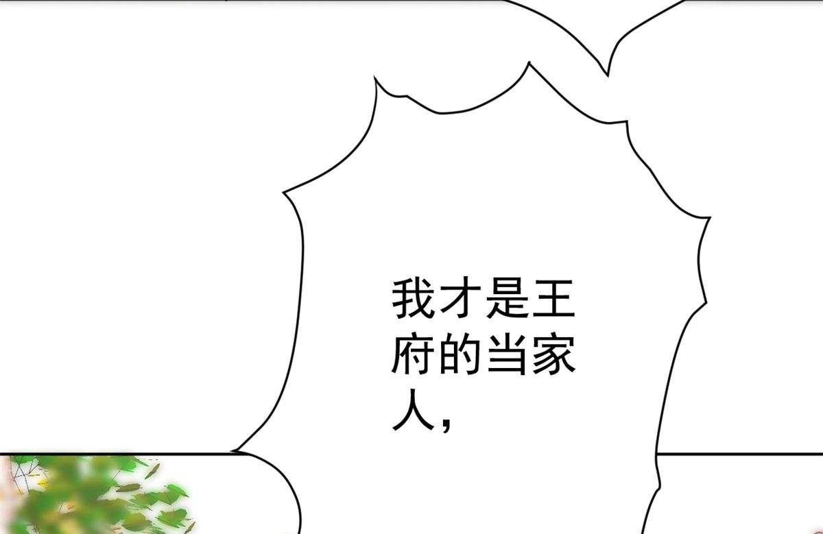 63王爷万福——一家之主61