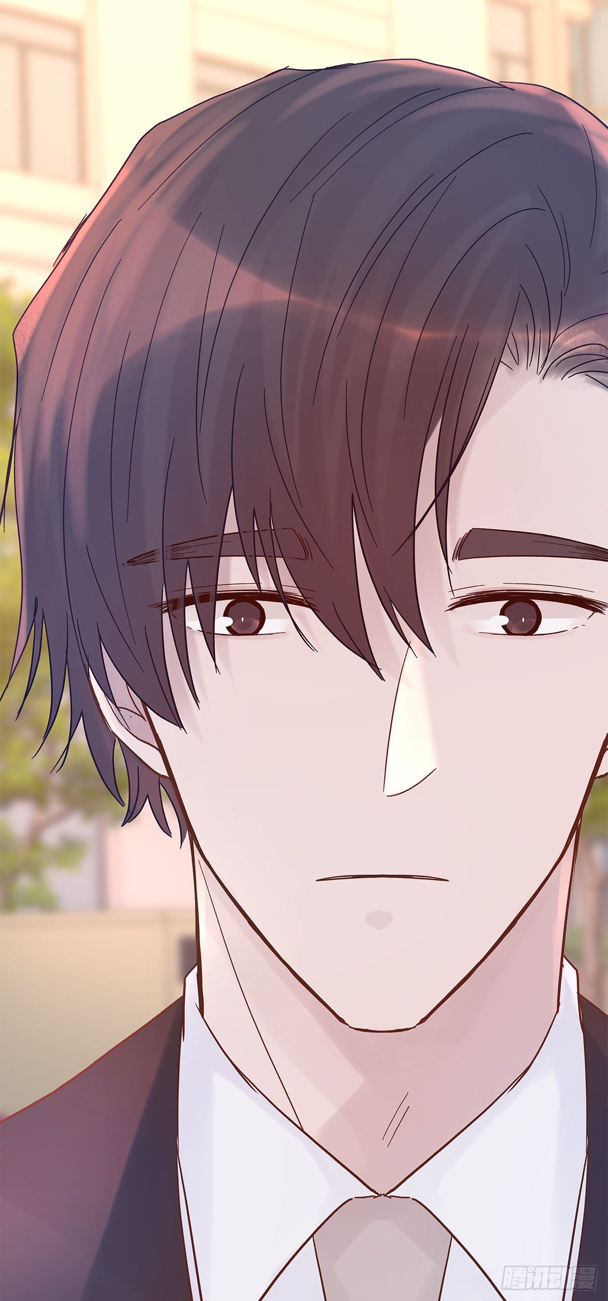 【79】茧26