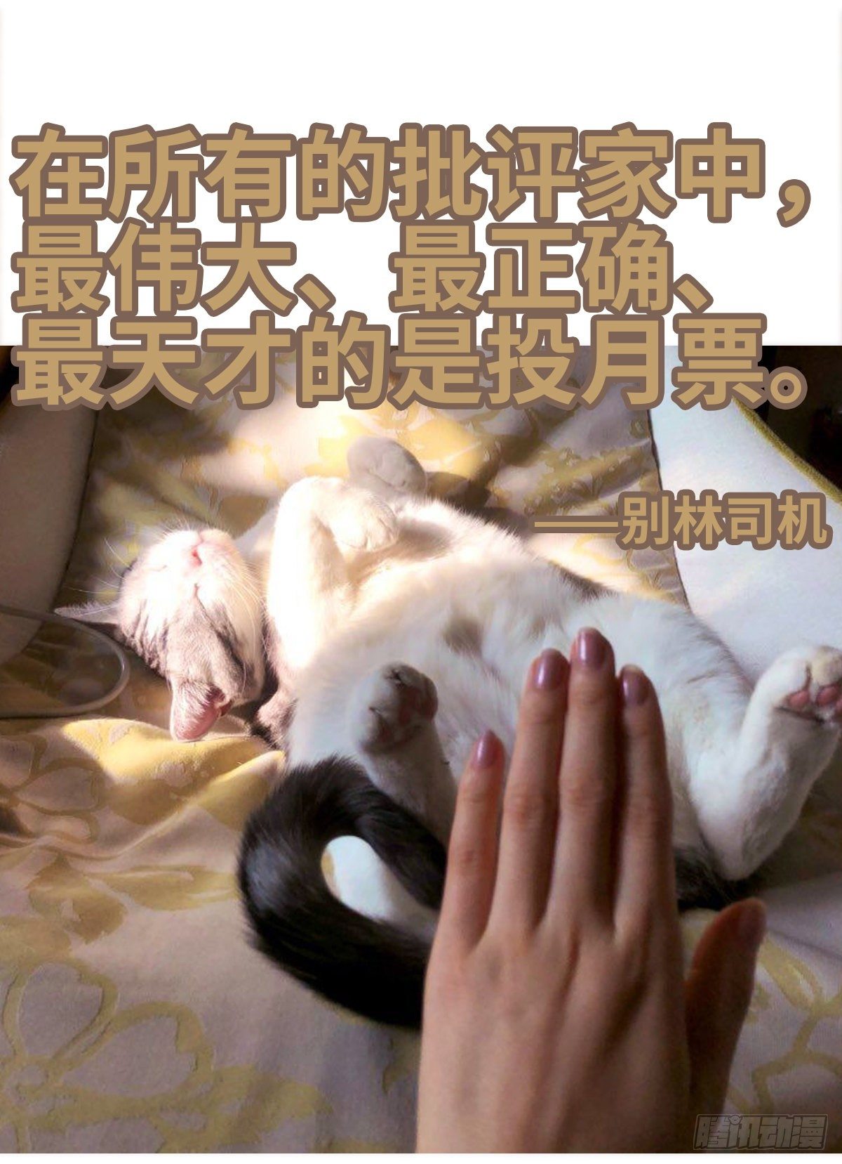 出战（2）51