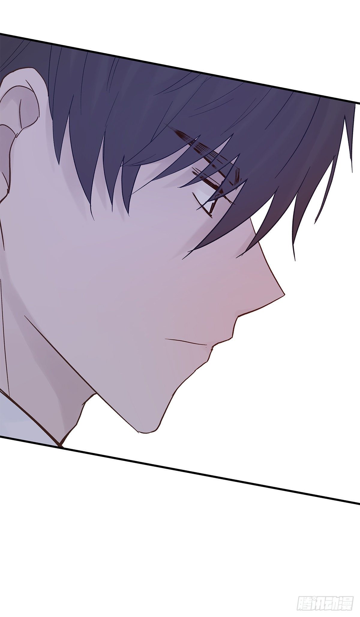 【79】茧46
