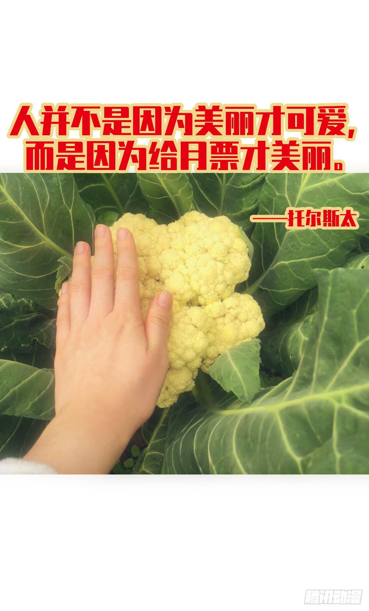 我的（4）56