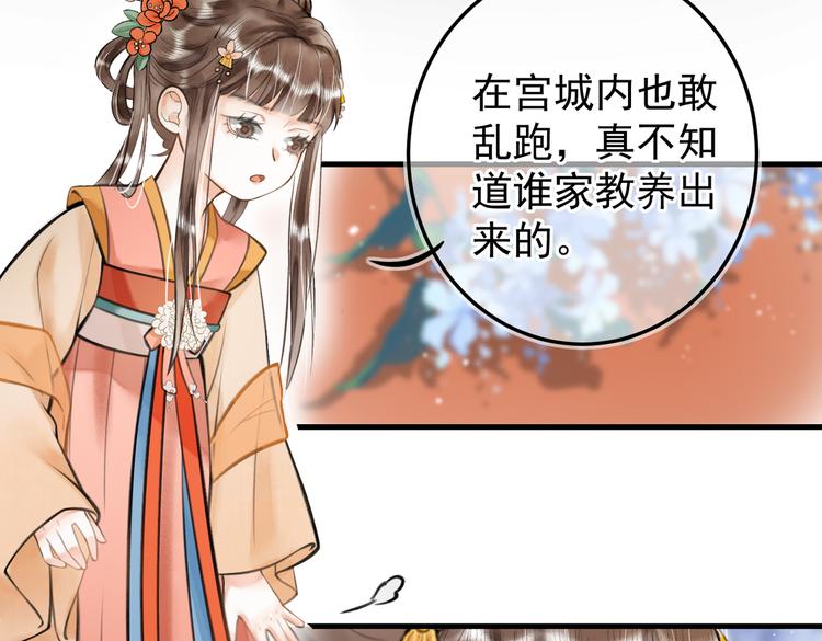 第十二章 新月41