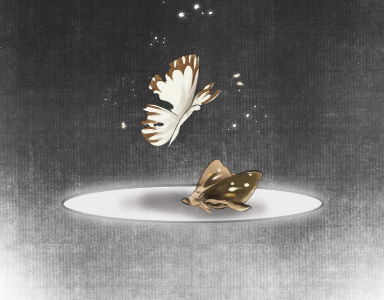 第七章 昨日与明天65