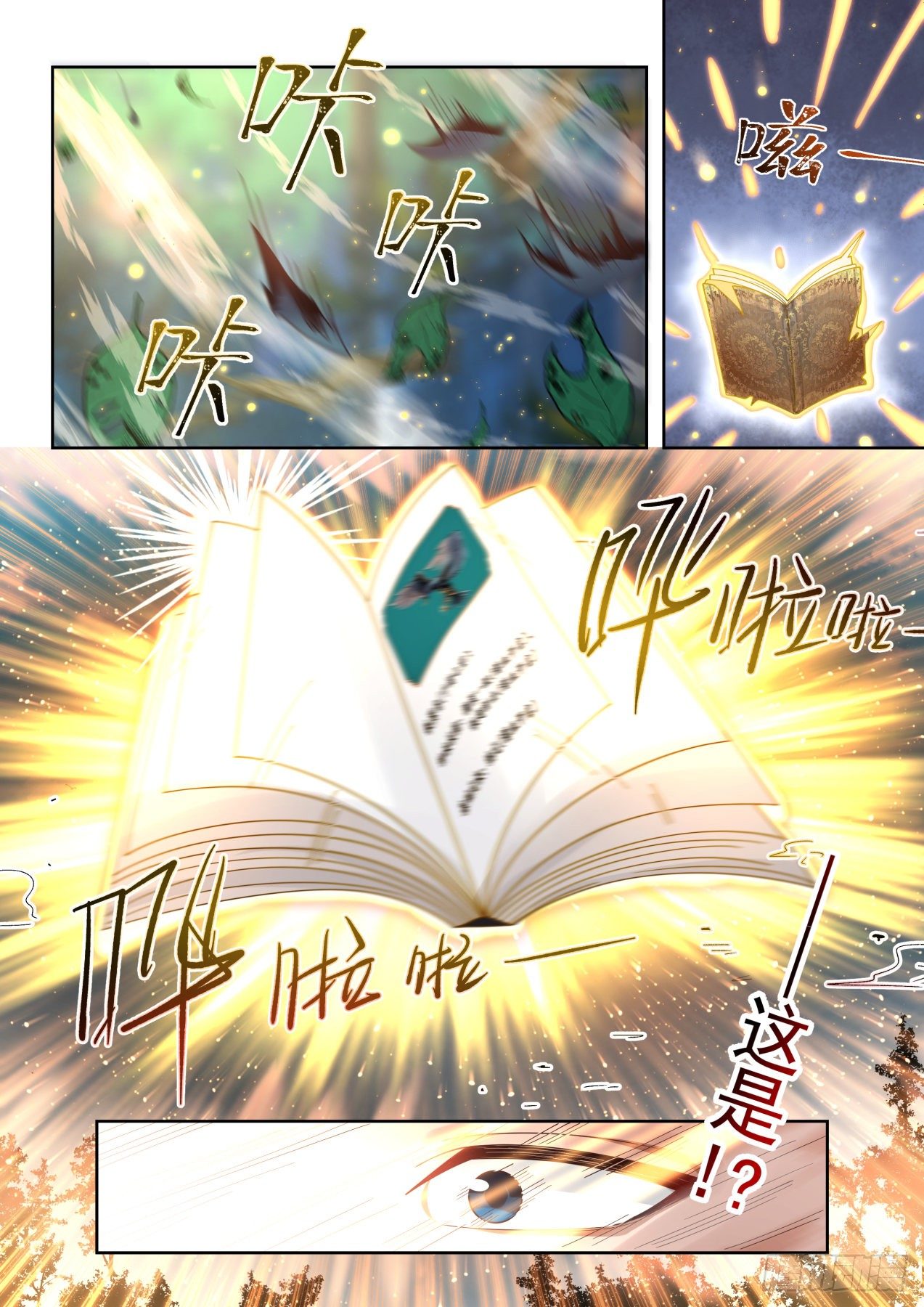 金色书册12