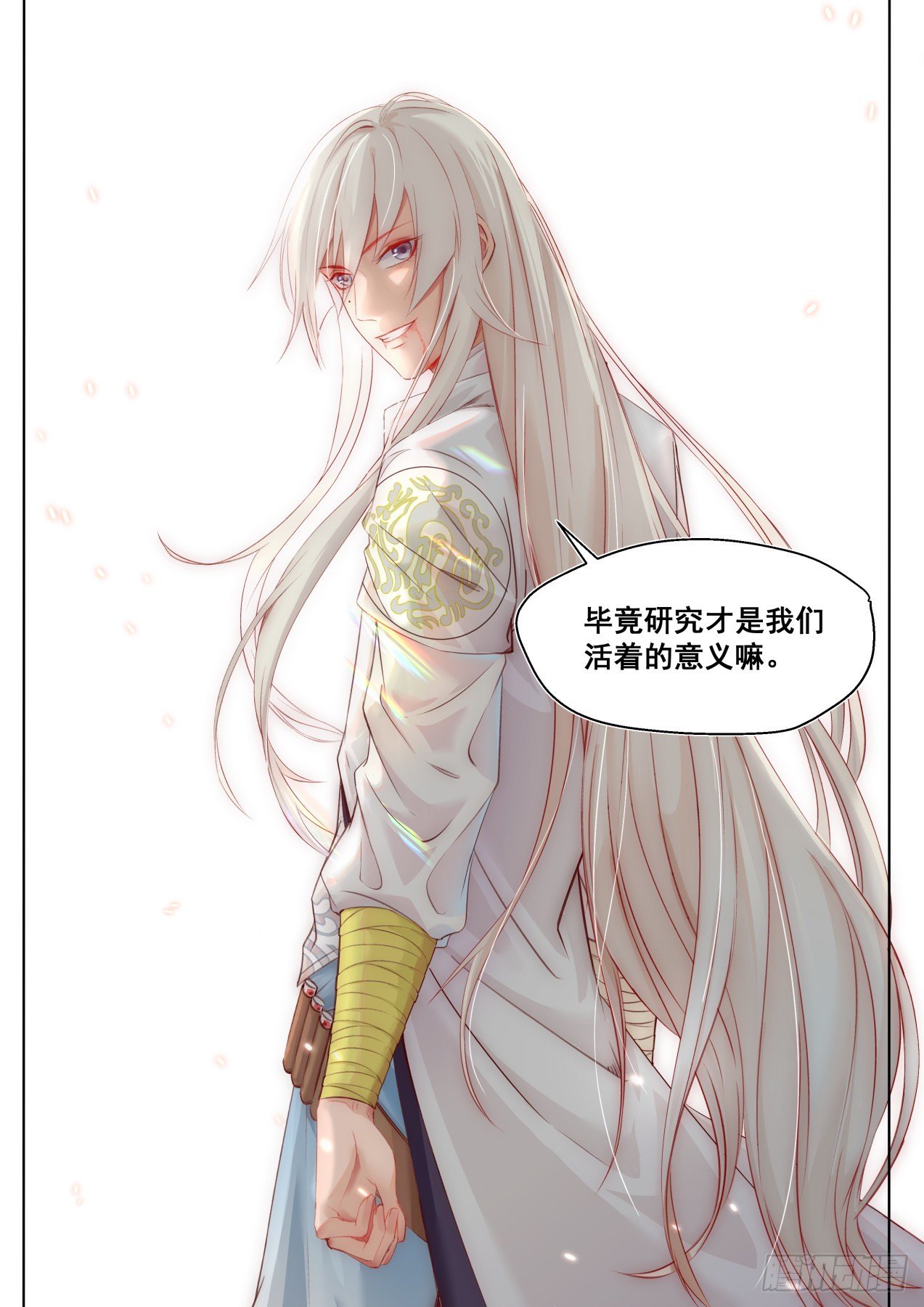 天才白枫11