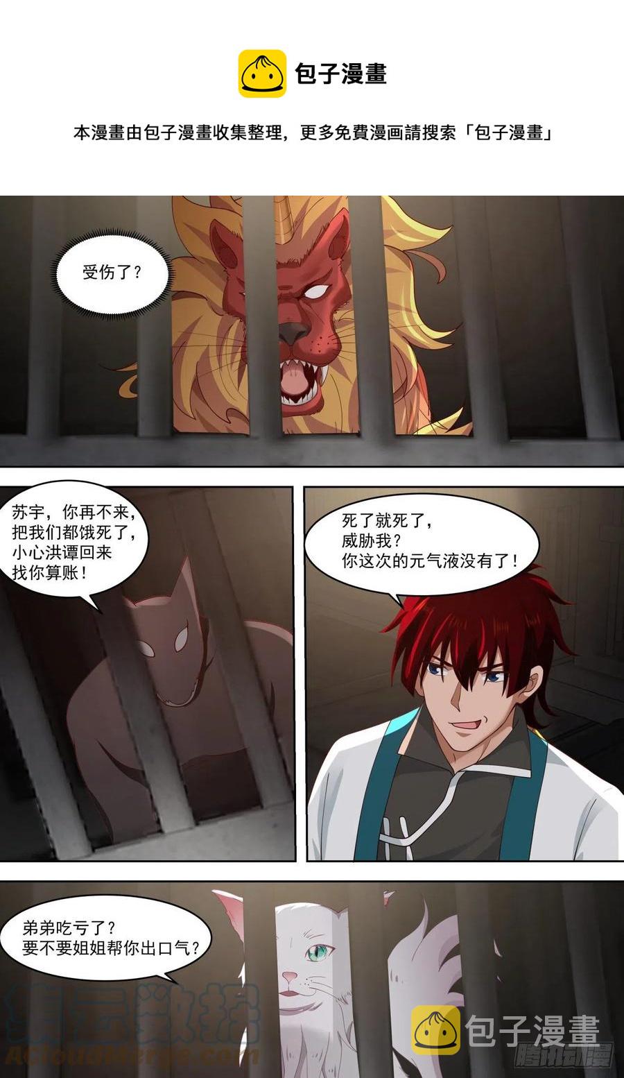 天阶武技10