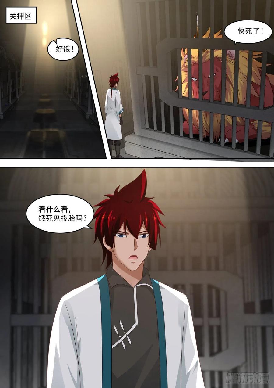 天阶武技9