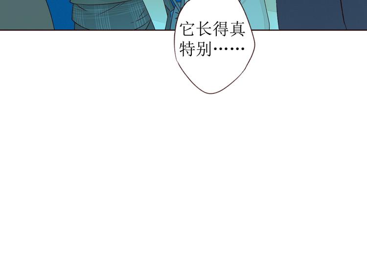 第8话 海底群星42