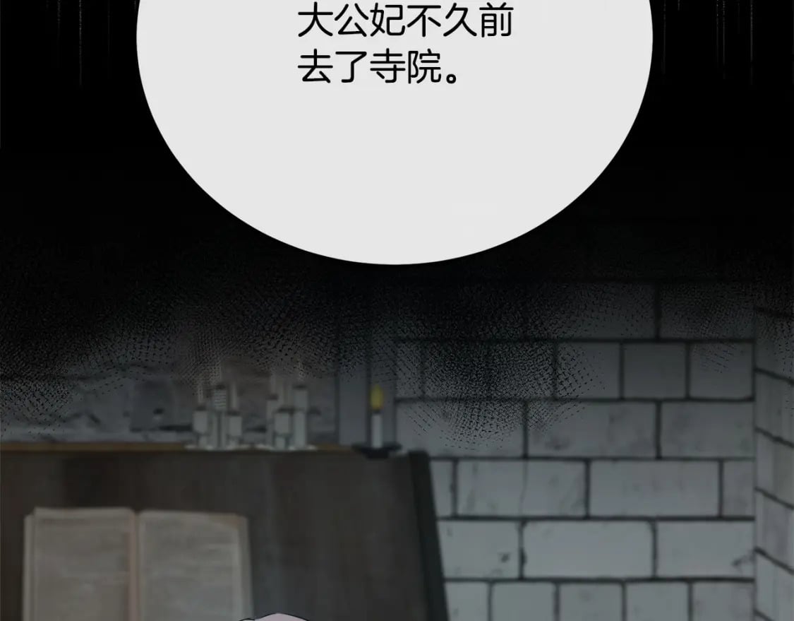 第118话 大公归来217
