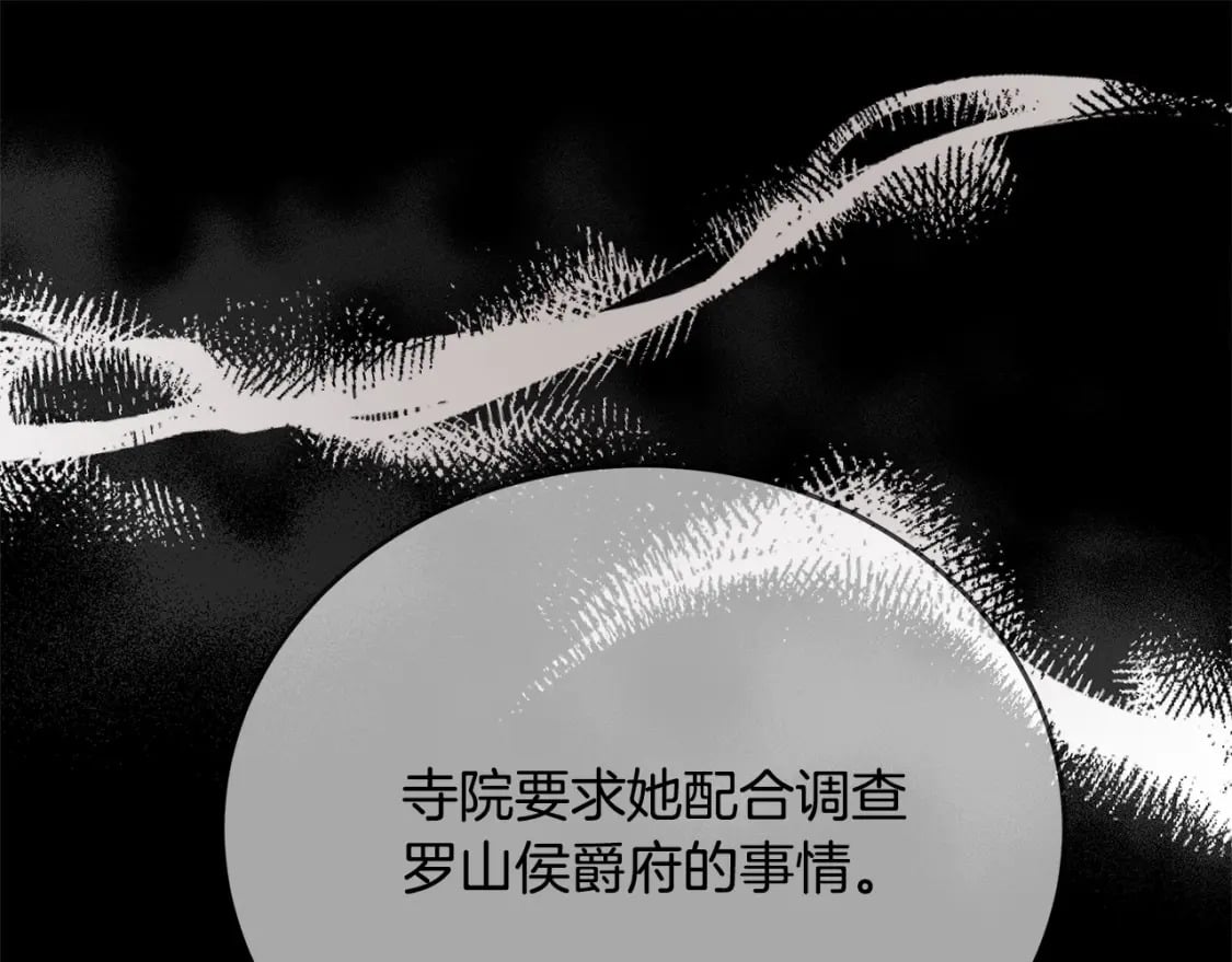 第118话 大公归来221