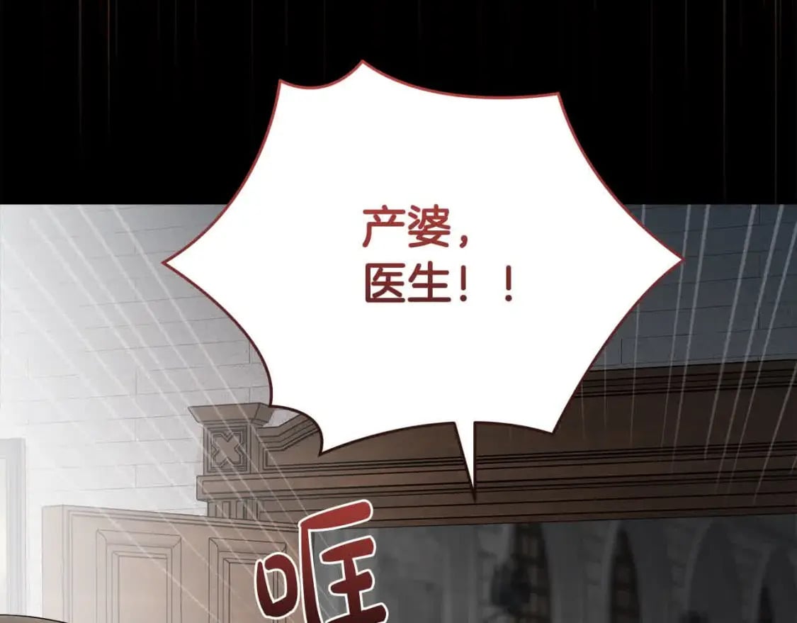 第三季完结篇 孩子诞生43
