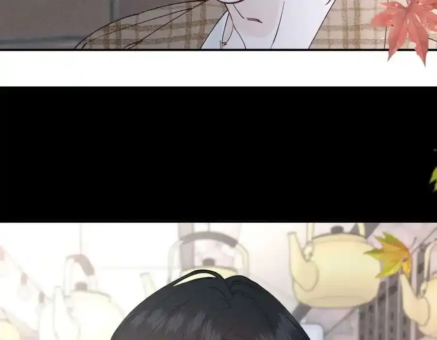 谢青线08 所以就不要喜欢了2