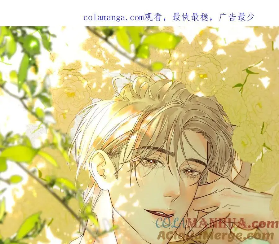 谢青线 260