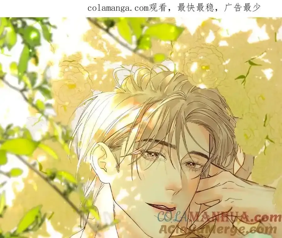谢青线 24 陆恋芜81