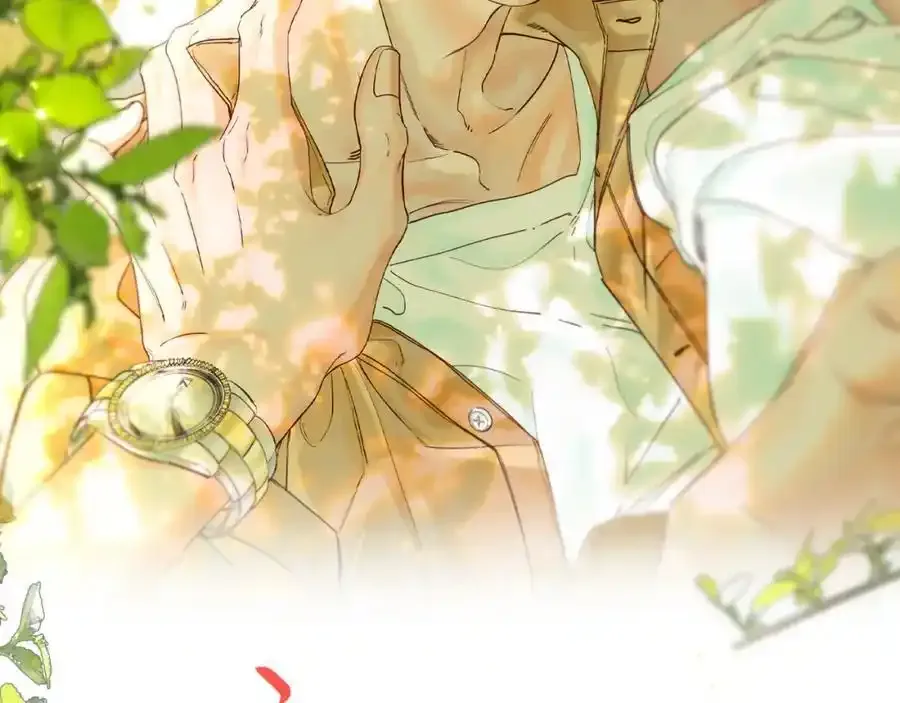 谢青线 24 陆恋芜1