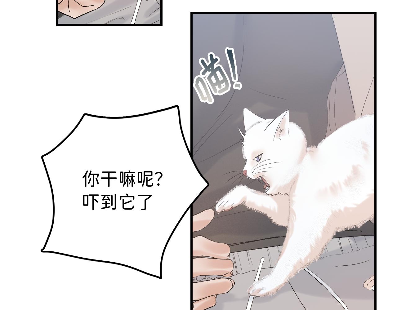 18 这就是喜欢？5