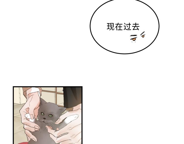11 一样被外表吸引？70